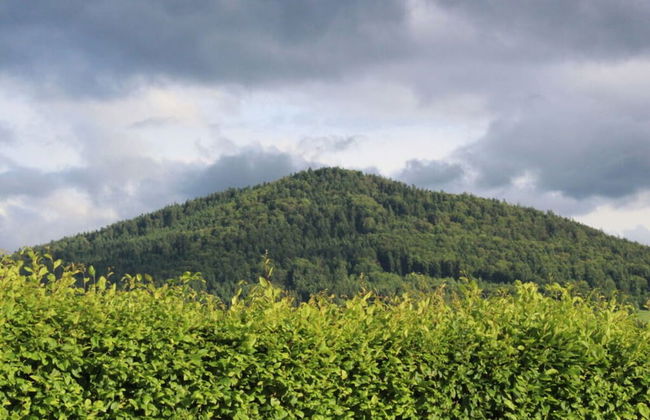 Huis Staffelberg App.802 - Photo 28