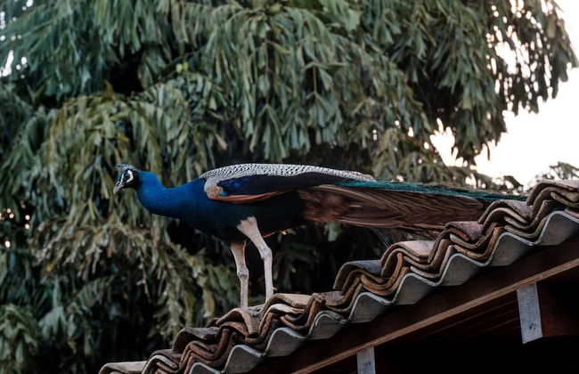 M Beach House by Boutique - Photo 30