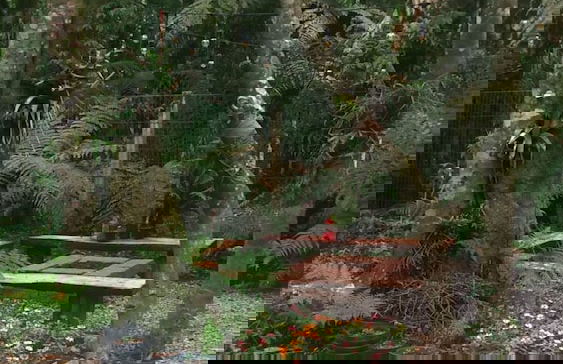 Refúgio Aconchegante em Canela CAN131 - Foto 22