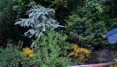 Dachterrassenwohnung - nah am See - Foto 2