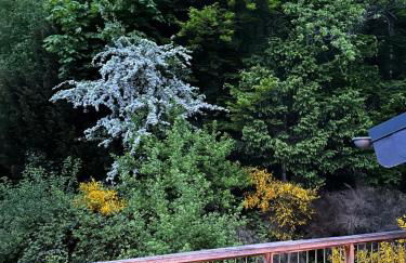 Dachterrassenwohnung - nah am See - Foto 2