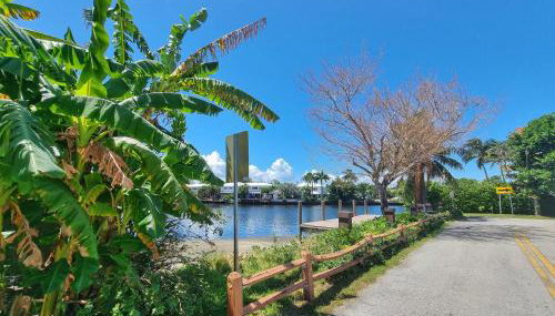 Surf House - Paddleboards - Canoes -1 mile to Wilton Manors - Foto 5