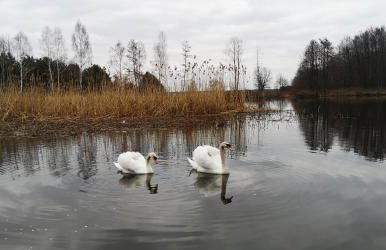 Na Chałupki - Foto 29