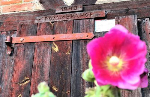 Relaxing Home With View Of Stettin Lagoon - Foto 39