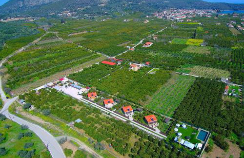 Desa Green Homes - Photo 12