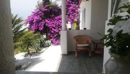 Apartmani Ivić Paka Rab - Foto 4