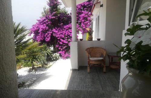 Apartmani Ivić Paka Rab - Photo 4