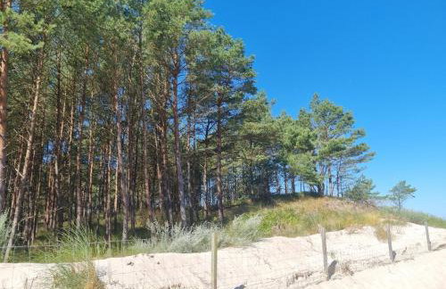 Apartament DoriSun-Lighthouse Mrzeżyno - Foto 33