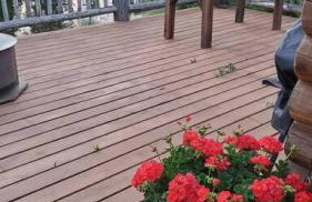 Little cabin in the woods - Foto 7