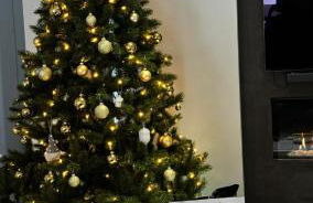 Apartment in Vagney between Gérardmer and La Bresse - Foto 7