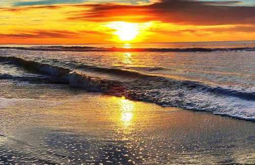 Plage du Débarquement. Maison bord de Mer - Photo 28