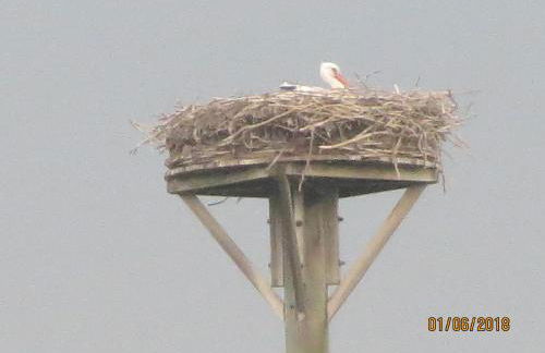 Haus Kummer - Foto 22