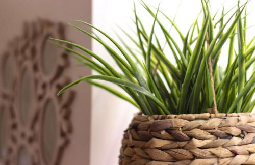 Janela Mar Garden - Photo 50