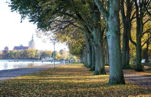 Frühlingserwachen im Haus Wassermann - Foto 53