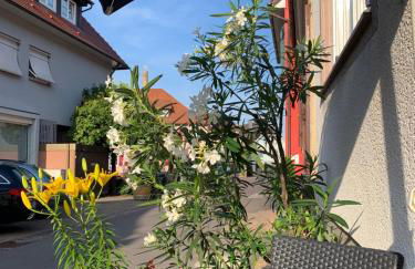 Barocke Stadtvilla Ophelia nahe Europapark 45qm 1,5 Zi Studio - Foto 20