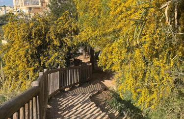 Maria Apartment Cabo Roig - Foto 33