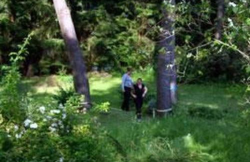 Apartment Seerose by Interhome - Foto 13