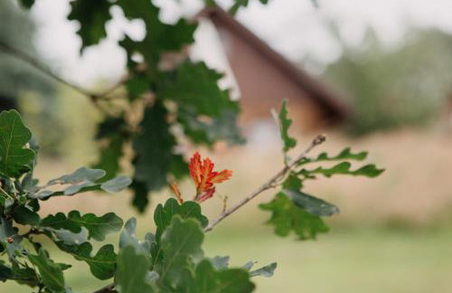 Osada Jelonki Wielka Puszcza - Foto 19