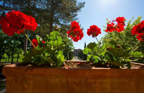 Agriturismo San Galgano - Foto 47