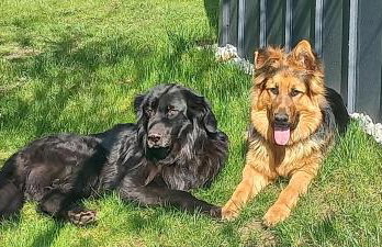 Domek pod borówką - Foto 15