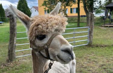 Gelbes Haus Seenland Ferienwohnungen XL - Foto 1