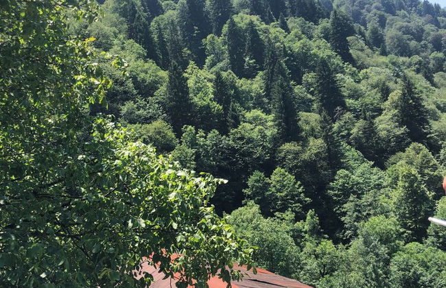 AYDER ÇALIKUŞU BUNGALOV - Foto 16