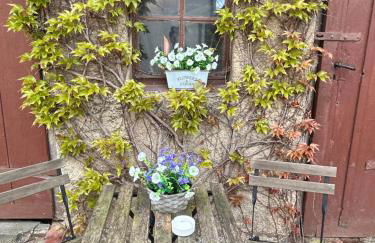 Apartment an der Rödlitzer Kirche - Foto 26