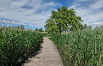 Beau studio Monteux, balcon vue Lac, près de Spirou Provence - Photo 73