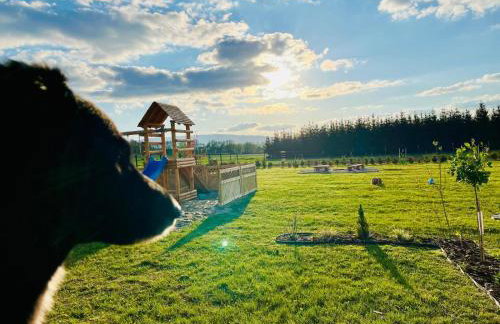 Polny Domek - Foto 13