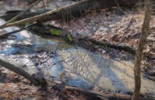 The Hopkins Hideaway - 40 Acres with trails, Arcades, Hot Tub, Fire Pit - Foto 39