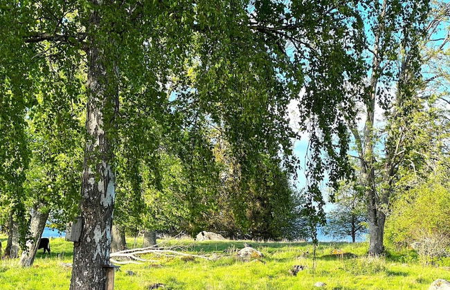 7 Person Holiday Home in Hova-by Traum - Foto 12