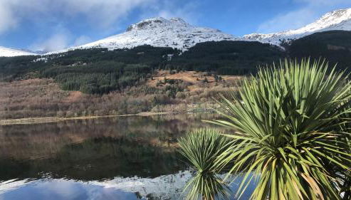 Heron’s View - Photo 3