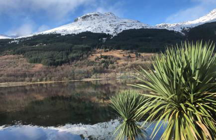 Heron’s View - Foto 3