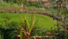 Varanda Encantada House - Foto 3, Garden, Garden view