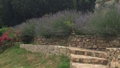 Traumparadies - Foto 5