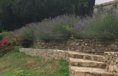 Traumparadies - Photo 5