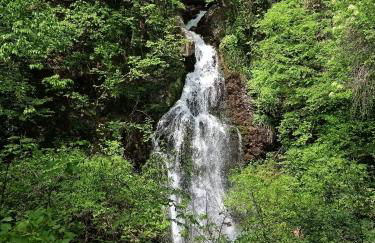 Matinas House - Foto 10