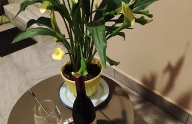 Lambou Beach Sunset - Foto 33