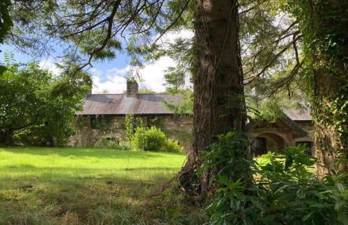 Pont Wrysgen Cottage 'the gateway to Snowdonia' - Photo 17