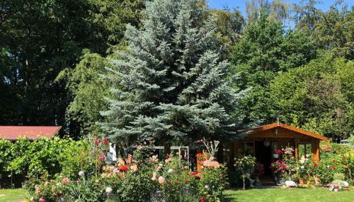 Naturblick am Petersdorfer See - Foto 5, Garden, Garden view