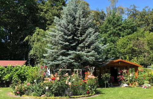 Naturblick am Petersdorfer See - Foto 5