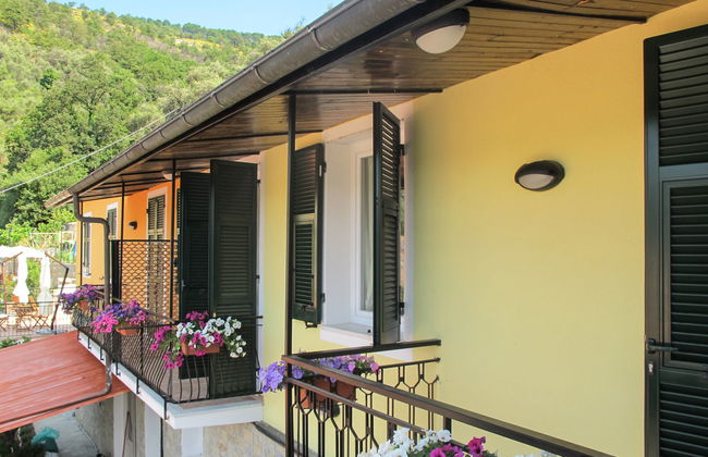 Giallo (PTB152) - Foto 9