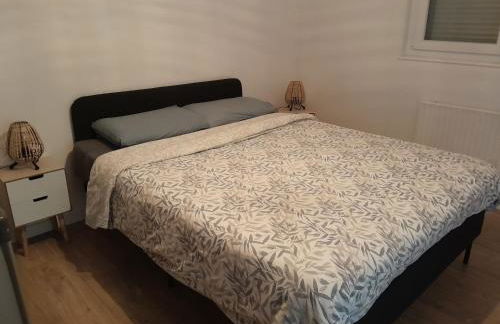 Amiens la vénus de renancourt face au zenith - Foto 9