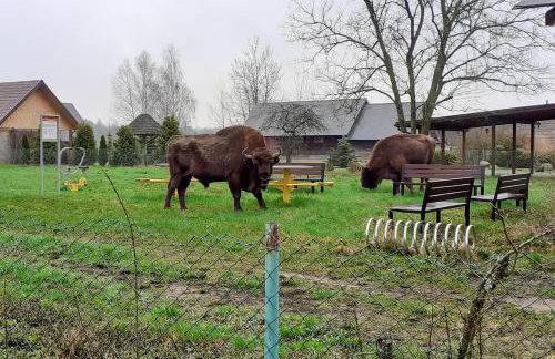 Agroturystyka u Wojtka - Foto 24