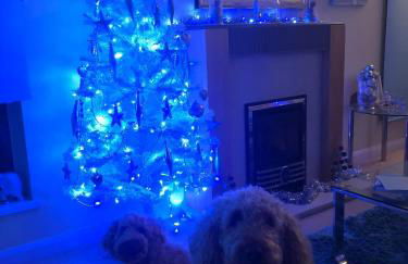 Lukes Lodge, where the fun begins, Woodland View, Hot Tub, dog friendly - Foto 58