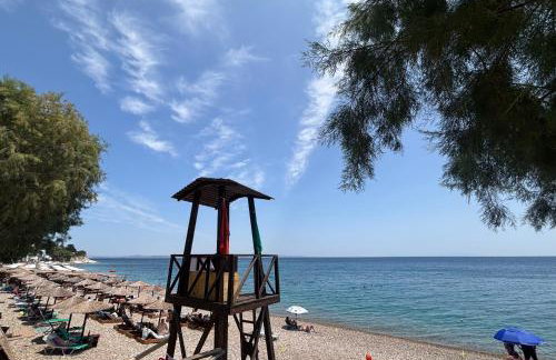 Mare Calmo Apartments, Chios - Photo 11