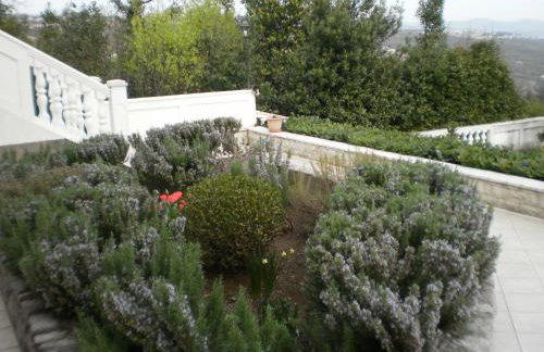 Villa Antonio - Photo 41