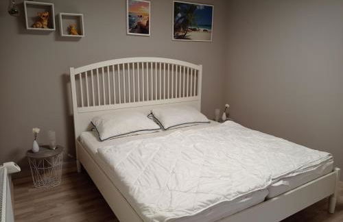 Appartement 2 Schlafzimmer, Terrasse, Hund, Kamin - Foto 8