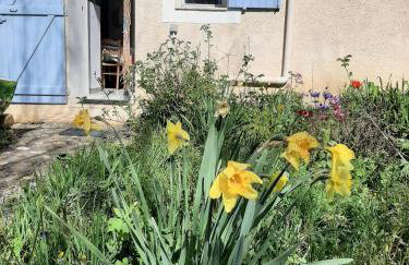 Studio Bas Verdon - Foto 5