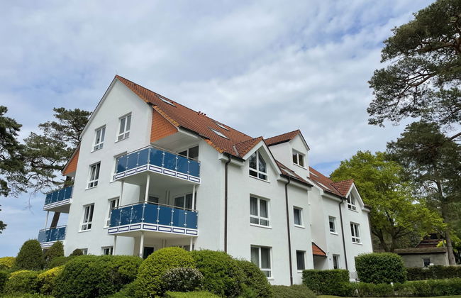 Blaumuschel (LUB101) - Foto 32